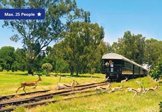 Cape Town, the Blue Train and Kruger National Park 