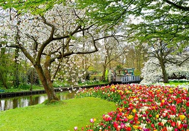 Springtime Tulips, Floriade and Keukenhof Gardens (Rail & Cruise)