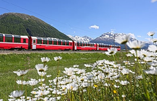 Scenic Switzerland by Rail 